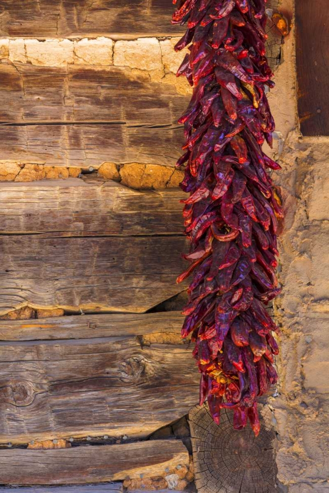 USA, New Mexico, Pinos Altos Ristas hung to dry